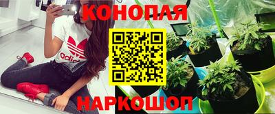 mdpv Гусь-Хрустальный
