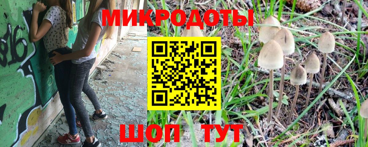 Чехов  Псилоцибиновые грибы Psilocybine cubensis  Псилоцибиновые грибы Cubensis  Вход с VPN 