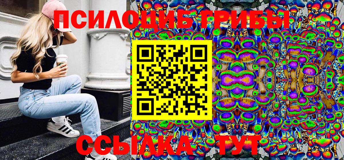 Галлюциногенные грибы Psilocybe Чехов